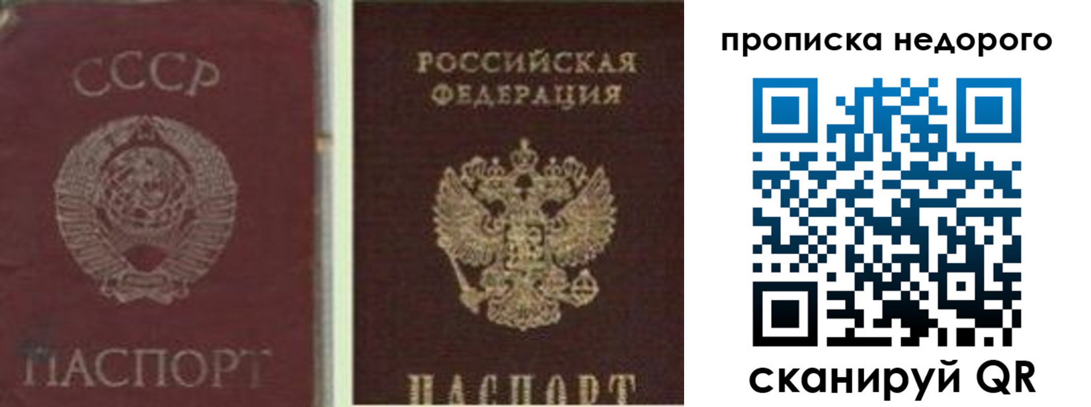 временная регистрация поиск в Торжоке